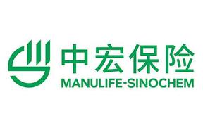 中宏人寿保险