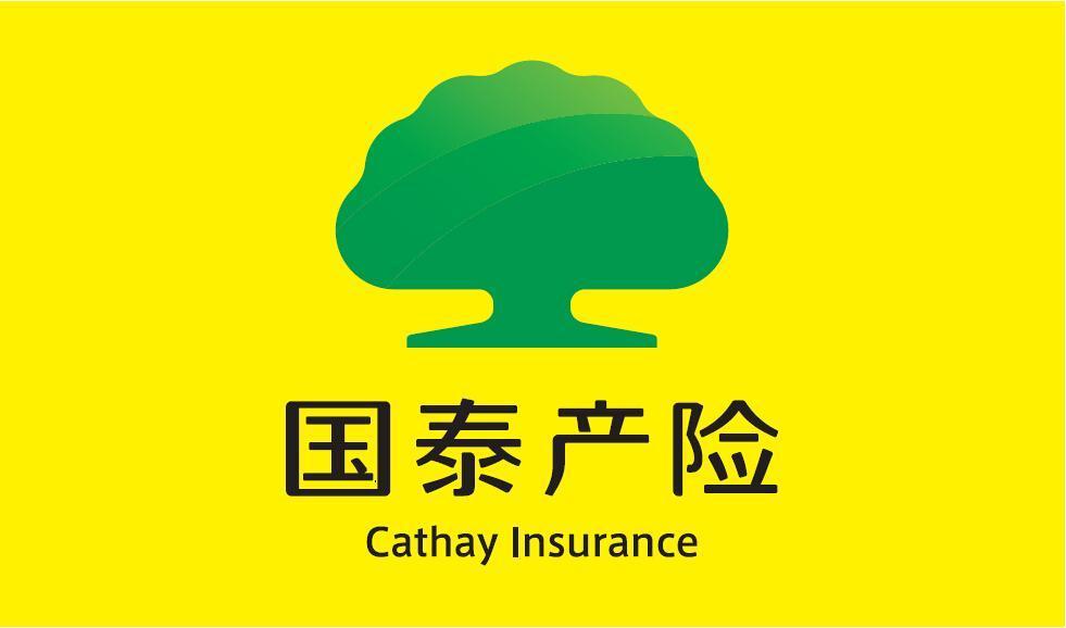 国泰财产保险